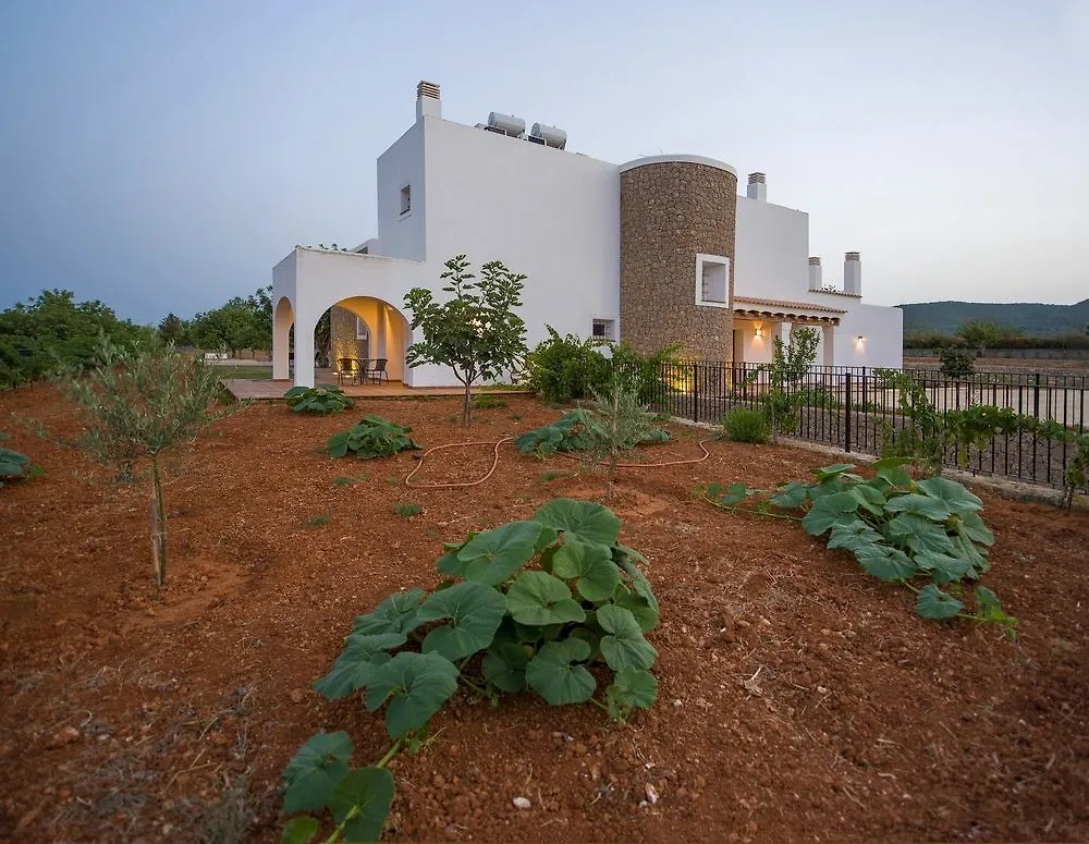 Villa Es Casals Nou Santa Gertrudis   Santa Gertrudis (Ibiza)